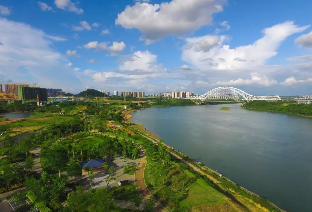 南宁市滨江公园：承载历史与现代，绿色休闲的天堂