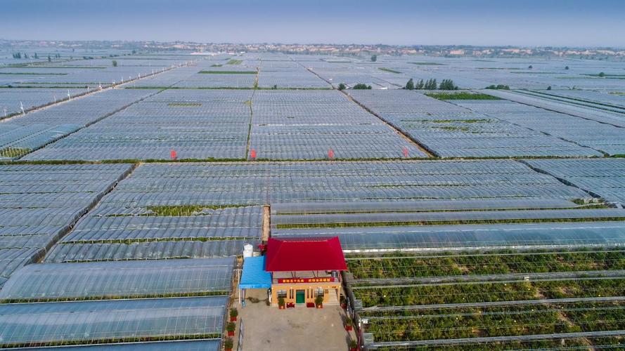 陕西省（大荔）现代农业园区——引领农业现代化的新标杆