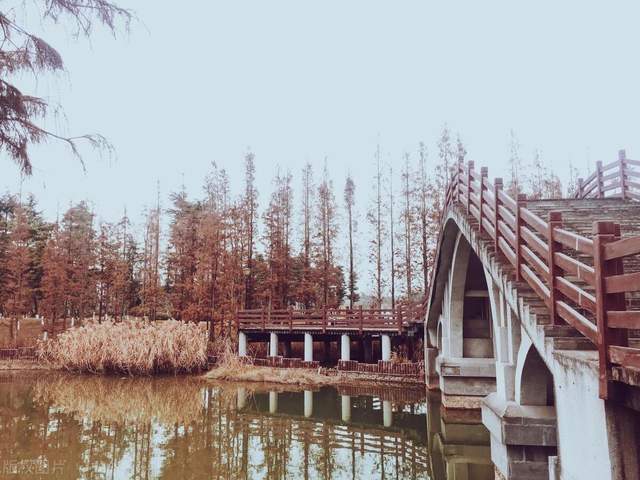 青白江凤凰湖湿地公园：生态与旅游的完美融合