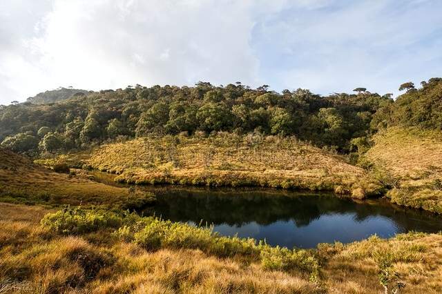 斯里兰卡霍顿平原国家公园：美丽、安静、奇特的自然之旅