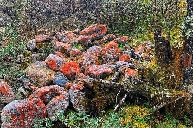 毕棚沟红石滩：镶嵌在山林间的红色玛瑙