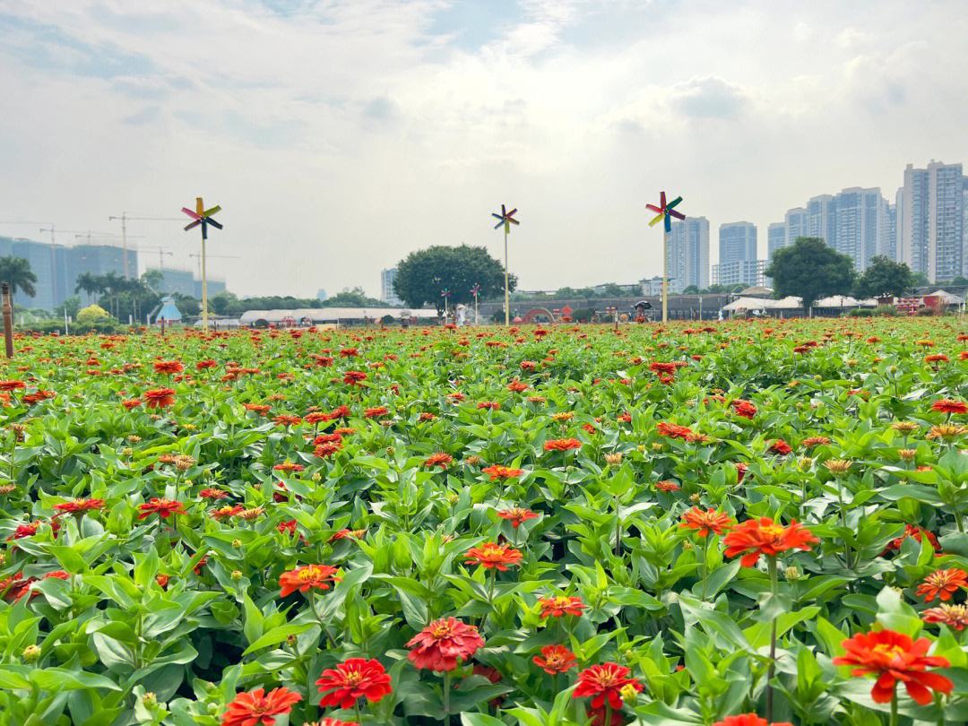 南宁市花卉公园：城市中的江南园林与四季花海