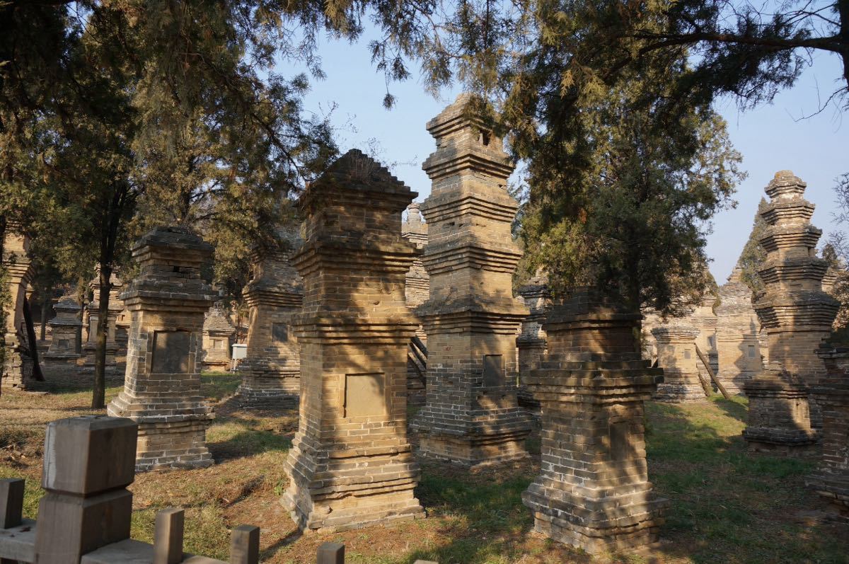 月山寺与塔林：河南的历史文化遗产瑰宝