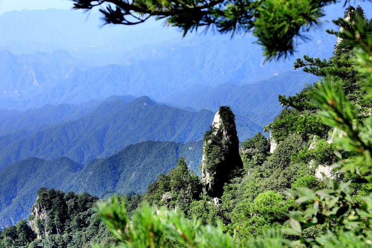 老君山自然保护区：云贵高原的生态瑰宝