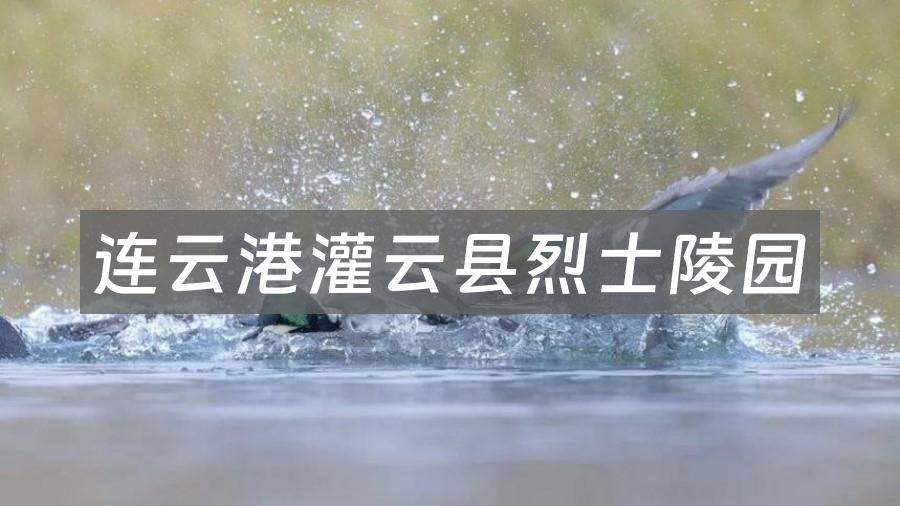 连云港灌云县烈士陵园 - 3A级景区介绍