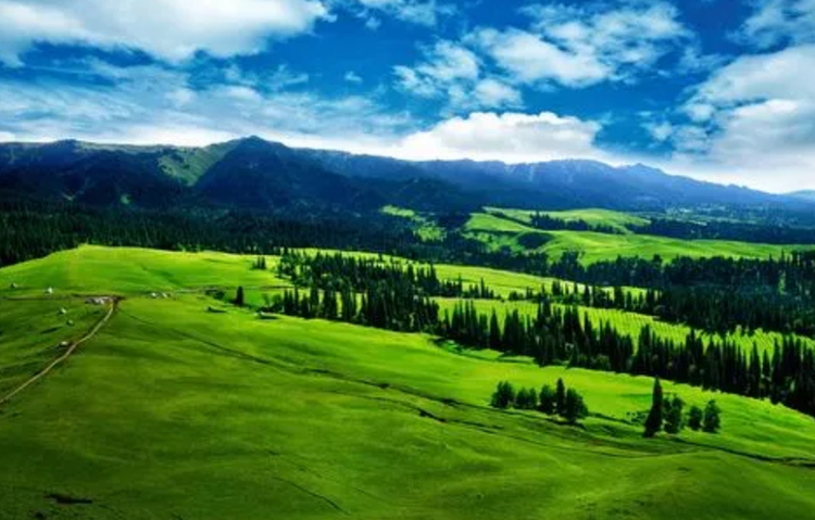 推荐新疆美景系列——六大草原风光，你都知道几个，去过几个？